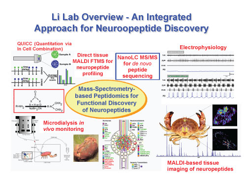 Li Lab Research Overview